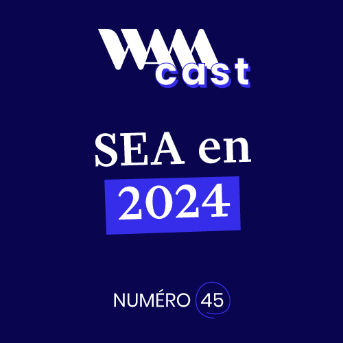 IA, Search, synergies SEO : état des lieux du SEA en 2024