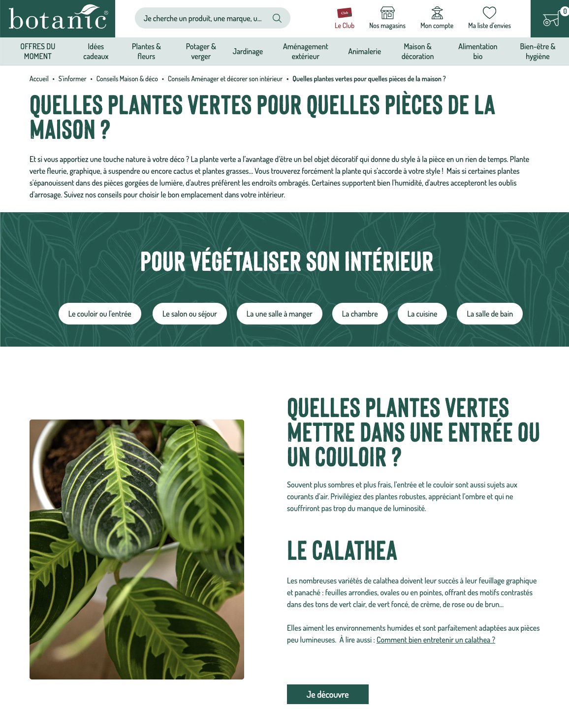 Quelles plantes vertes pour quelles pièces de la maison (Botanic)